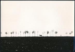 cca 1965 Dezső Pál (?-?): Tél, tavasz, nyár és ősz, 4 db vintage fotóművészeti alkotás, kettő jelzet...