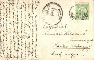 Opera singer cat, cats. T. S. N. Serie  1012. s: Arthur Thiele (EK)