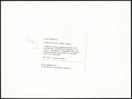 1990 Színész karnevál a budai várban, 13 db feliratozott vintage fénykép, 18x24 cm