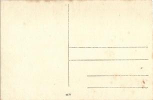 Osztrák-magyar haditengerészet 81 T torpedórombolója / K.u.K. Kriegsmarine Torpedoboot 81T / Austro-...