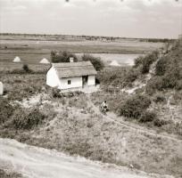 cca 1965 Kecskemét környéki tanyák, 13 db vintage negatív Dezső Pál hagyatékából, kilenc kontakt néz...