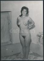 Házibulis fényképek az 1970-es évekből, 4 db szolidan erotikus vintage fénykép, 18x13 cm / 4 erotic ...