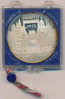 Csúcs Viktória (1934-) 1973. "Pest-Buda-Óbuda egyesítésének centenáriuma / Pro memor urbe centen" Ag emlékérem eredeti, plombált ÁPV plasztiktokban (~25g/0.800/42,5mm) T:2(PP) patina