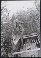 cca 1973 Kirándulás a Szúnyog-szigetre, 3 db szolidan erotikus fénykép, vintage negatívokról készült...