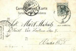 Pola, Viale S. Policarpo / St. Policarpo Strasse / street view with trams (EB)