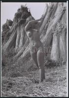cca 1972 Nádszál leltár, 3 db szolidan erotikus fénykép, vintage negatívokról készült mai nagyítások, 25x18 cm / 3 erotic photos, 25x18 cm
