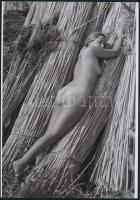 cca 1972 Nádszál leltár, 3 db szolidan erotikus fénykép, vintage negatívokról készült mai nagyítások...