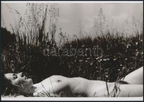 cca 1972 Természetimádók, 3 db szolidan erotikus fénykép, mai nagyítások, 25x18 cm / 3 erotic photos...