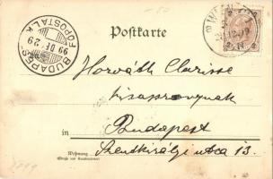 1899 Glückliches Neujahr / Art Nouveau litho lady art postcard. Serie 324. (EK)