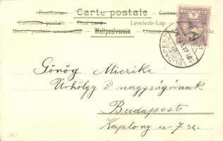 New Year Art Nouveau litho lady greeting art postcard. 331. (EK)