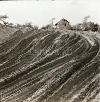 cca 1970 Kecskemét környéki tanyák, 13 db vintage negatív Dezső Pál (?-?) kecskeméti fotóművész hagy...