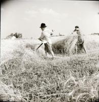 cca 1970 Kecskemét környéki tanyák, 13 db vintage negatív Dezső Pál (?-?) kecskeméti fotóművész hagy...