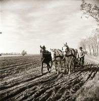 cca 1970 Kecskemét környéki tanyák, 13 db vintage negatív Dezső Pál (?-?) kecskeméti fotóművész hagy...