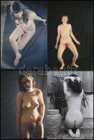 cca 1979 Hétvégi fotózások, 21 db szolidan erotikus fénykép, korabeli negatívokról készült mai nagyí...
