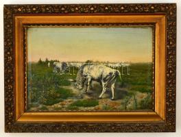 Vastagh jelzéssel: Bika. Olaj, vászon, keretben, 23×36 cm