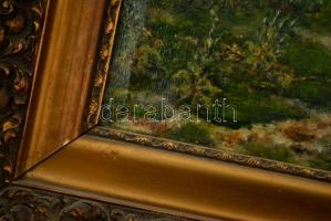 Vastagh jelzéssel: Bika. Olaj, vászon, keretben, 23×36 cm