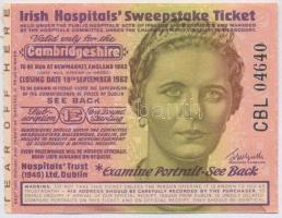 Írország / Cambridge megye 1962. "Irish Hospitals' Sweepstake Ticket" Ír Kórházak Nyereményjátéka lóverseny szelvény, érvényesített T:I- Ireland / Cambridgeshire 1962. "Irish Hospitals' Sweepstake Ticket" horserace ticket, validated C:AU