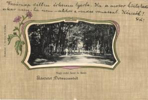 Debrecen, Nagy erdei fasor és fürdő, Komáromi J. felvétele és kiadása, Art Nouveau litho keret (EK)