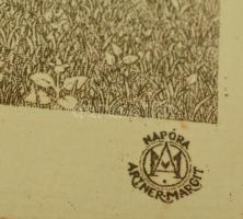 Artner Margit (1954-): Napóra. Pontozott rézkarc (maratás), papír, jelzett a karcon, üvegezett keret...