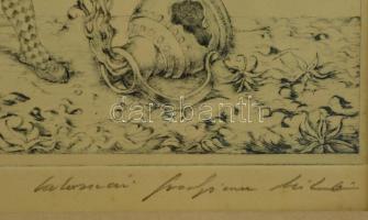 Kolozsvári Grandpierre Miklós (1950-): Mesterségem címere. Rézkarc, papír, jelzett, üvegezett keretb...