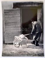 cca 1964 Medgyesi László (?-?) 2 db feliratozott vintage fotóművészeti alkotása, 40x30 cm és 38x24,5...