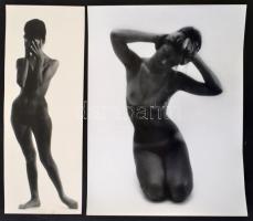 cca 1976 Aktfotók, 4 db vintage fotóművészeti alkotás, 40x15 cm és 30x40 cm között / 4 nude photos