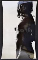 cca 1976 Aktfotók, 4 db vintage fotóművészeti alkotás, 40x15 cm és 30x40 cm között / 4 nude photos