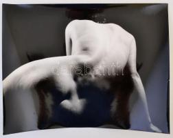 cca 1976 Aktfotók, 4 db vintage fotóművészeti alkotás, 40x15 cm és 30x40 cm között / 4 nude photos