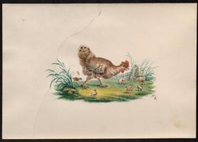 cca 1880 Kováts jelzéssel: 5 db kidologozott, színes ceruzarajz. Puttó, szárnyasok, őzek, 25x17 cm