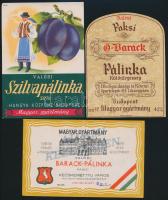cca 1920-1930 10 db különféle pálinka címke, 3x5 és 14x10 cm
