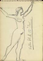 15 db karikatúra, rajz és vázlat különböző művészektől (érdekes tétel)