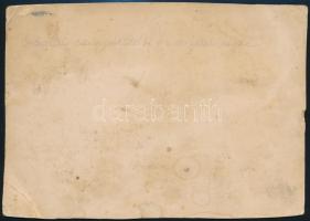 cca 1910-1930 Iskolai színjátszók és a falu népe, csoportkép, hátulján feliratozva, 14×20 cm