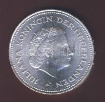 Hollandia 1970. 10G Ag "Wilhelmina Julianna" T:1/2 k.