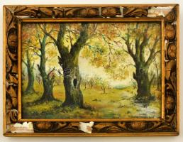 Hermann jelzéssel: Öreg fák, olaj, vászon, sérült díszes fa keretben, 16,5×22,5 cm