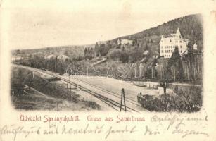 Savanyúkút, Sauerbrunn; Vasútállomás, Hartig villa / railway station, villa (fa)