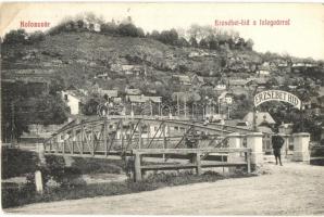 Kolozsvár, Cluj; Erzsébet híd a fellegvárral / bridge, stronghold, villas (Rb)