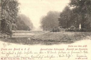 Lajtabruck, Bruck an der Leitha; Harrachschen Schlosspark, Fasanerie / castle park (EK)