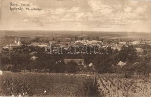 Ipolyság, Sahy; szőlődomb / Pohlad / panorama view, vineyard  (EB)