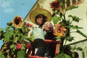 4 db MODERN majom motívumos képeslap / 4 MODERN monkey motive cards