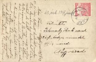 1917 Nagyfüged, villa kert, photo (EK)