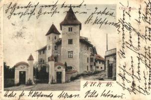 Merano, Meran-Obermais (Tirol); Schloss Rosenstein, B. Lehrburger / castle (fa)