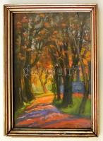 Rónai Géza (1886-1944): Erdei út. Pasztell, papír, jelzett, üvegezett keretben, 35×24 cm