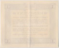 Csanytelek 1910. "Csanyteleki Római Katholikus Egylet" részvénye 1K-ról, bélyegzéssel T:II