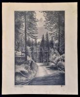 Sm jelzéssel: Erdei út. Ceruza, papír, 27×19 cm