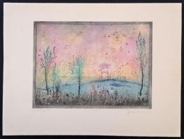 Gross Arnold (1929-2015): Emléklap II., színes rézkarc, papír, jelzett, 19,5×26,5 cm