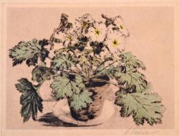 Wiese jelzéssel: Cserepes növény. Színezett rézkarc, papír. 14×19 cm