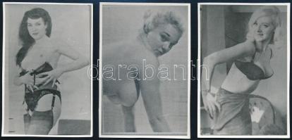 10 db erotikus és akt fotó, 8,5x5,5 és 10x6,5 cm-es méretben