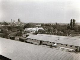 Kecskeméti utcaképek, épületek, Medgyesi László által készített fotók negatívjai, 16 db, 6x6 cm