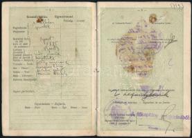 1925 Bp., A Magyar Királyság által kiadott útlevél, belsejében kis égésnyommal, fénykép nélkül / Hun...