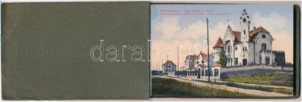 Nagyszeben, Hermannstadt, Sibiu; - képeslapfüzet 15 db képeslappal; Sachsenheim, Disznódi, Riskás és...